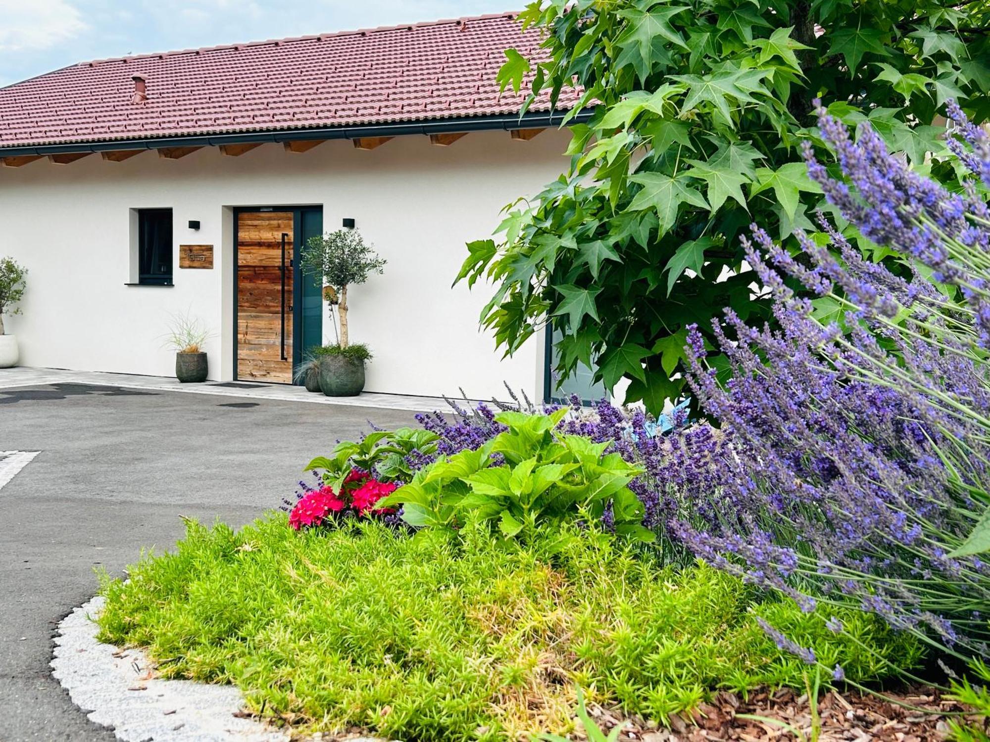 Willa Traumhaus In Den Weinbergen - Max 8 Personen - Mit Self-Check-In Sankt Stefan ob Stainz Zewnętrze zdjęcie